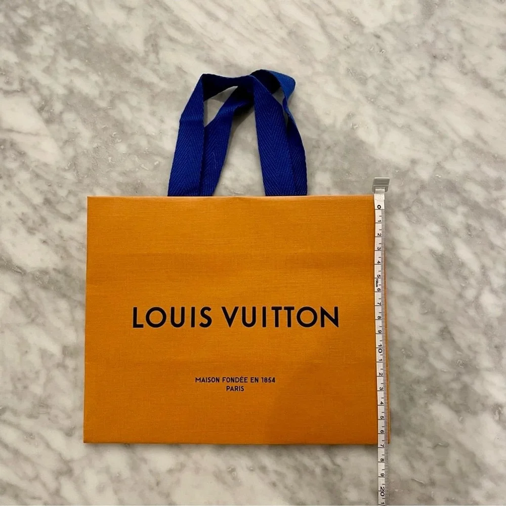 Louis Vuitton Small Gift Bag - Authentic
